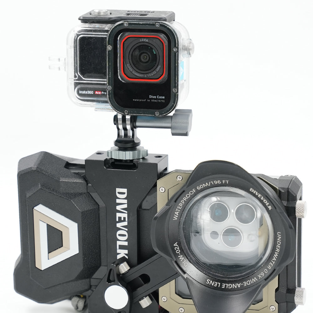 Smartphone vs Action Camera: The Better Choice for Dive Photos