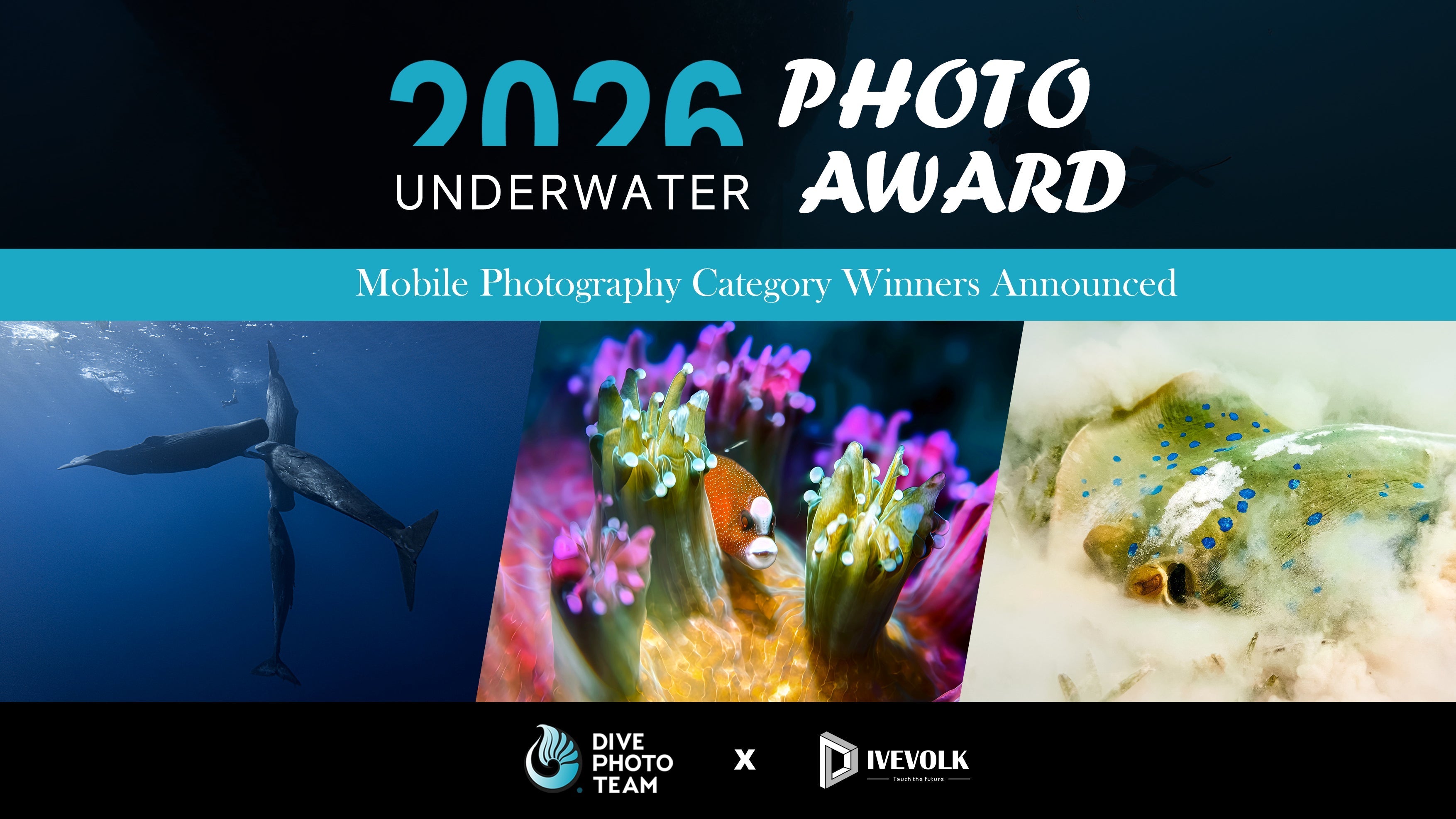 Poater of 2026 Underwater Photo Award