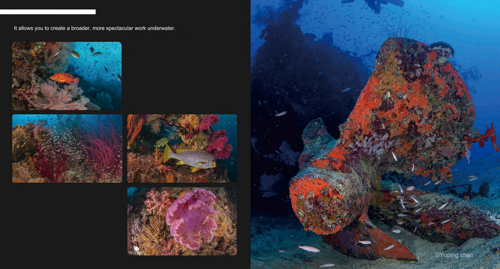 Diver using DIVEVOLK SL120 professional underwater video light on a coral reef