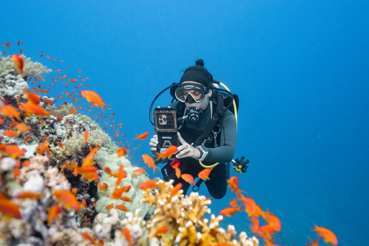 Scuba diver photographing anthias on a coral reef with a SeaTouch 6 Pro smartphone housing