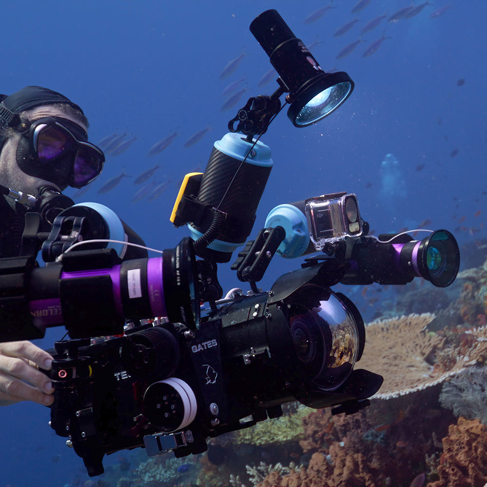 Underwater video light with blue light filter