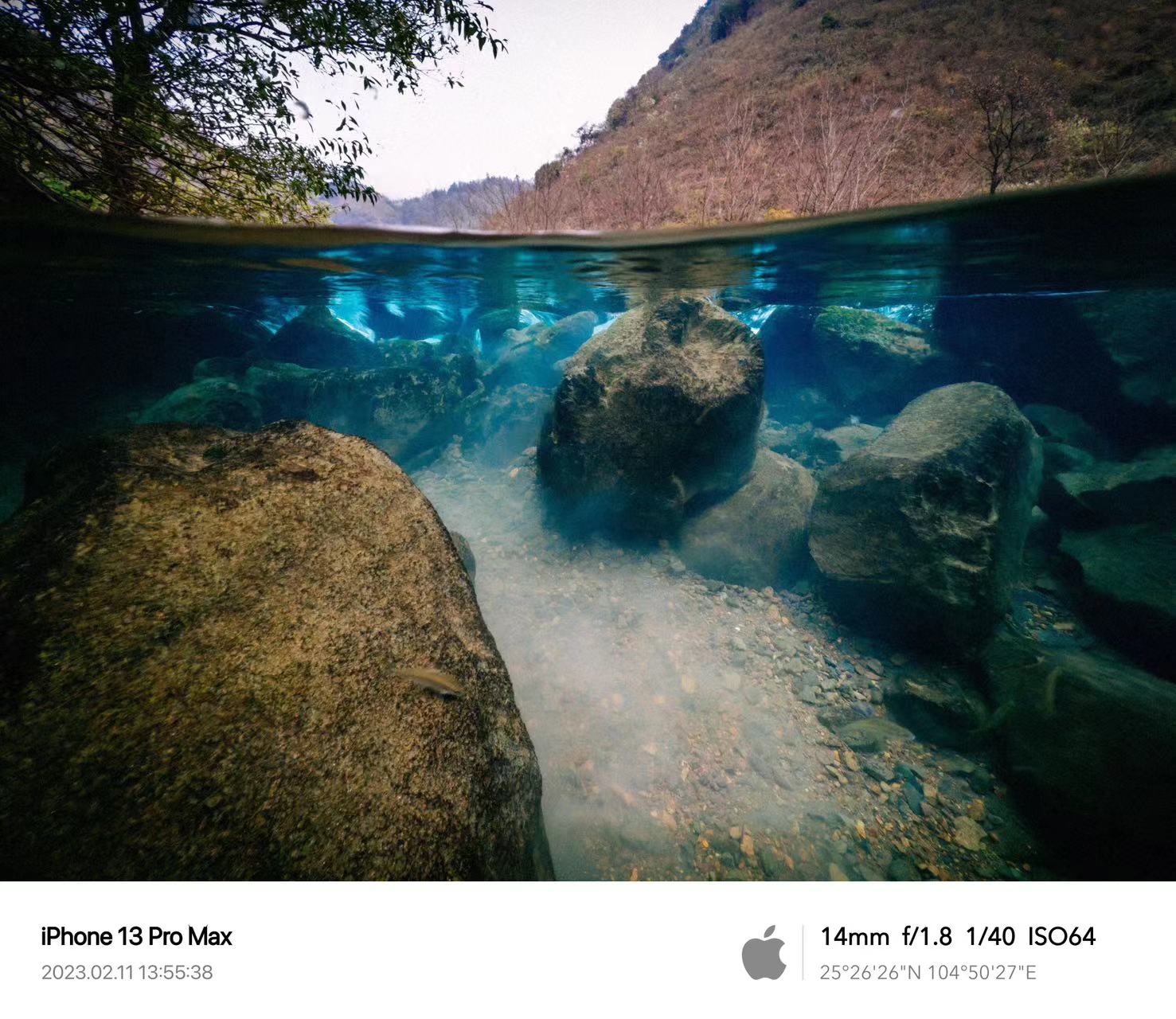 Split view: DiveVolk SeaTouch 4 Max dome lens underwater shot.