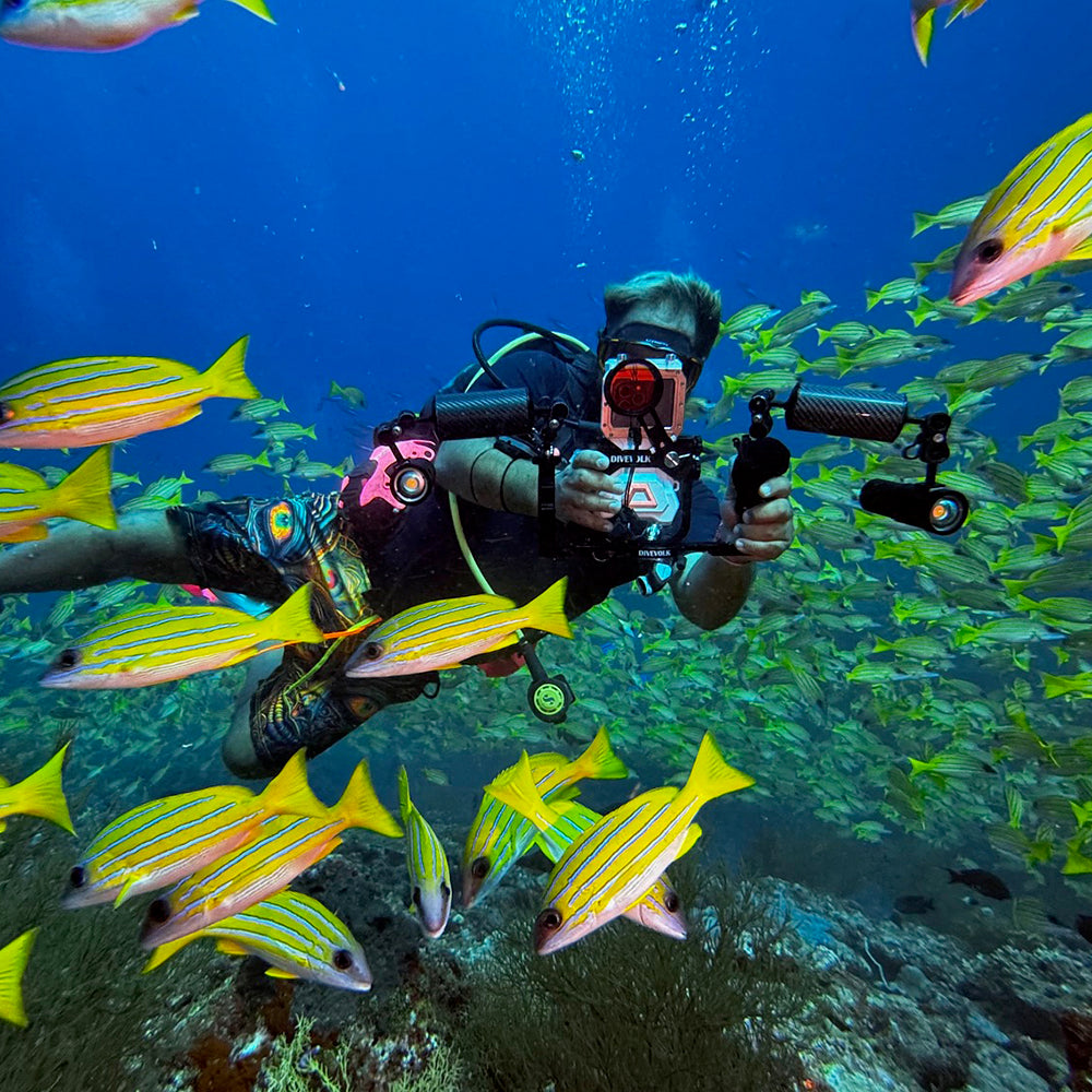 Diver using DiveVolk dual handle tray with SeaTouch 4 Max to film school of fish.