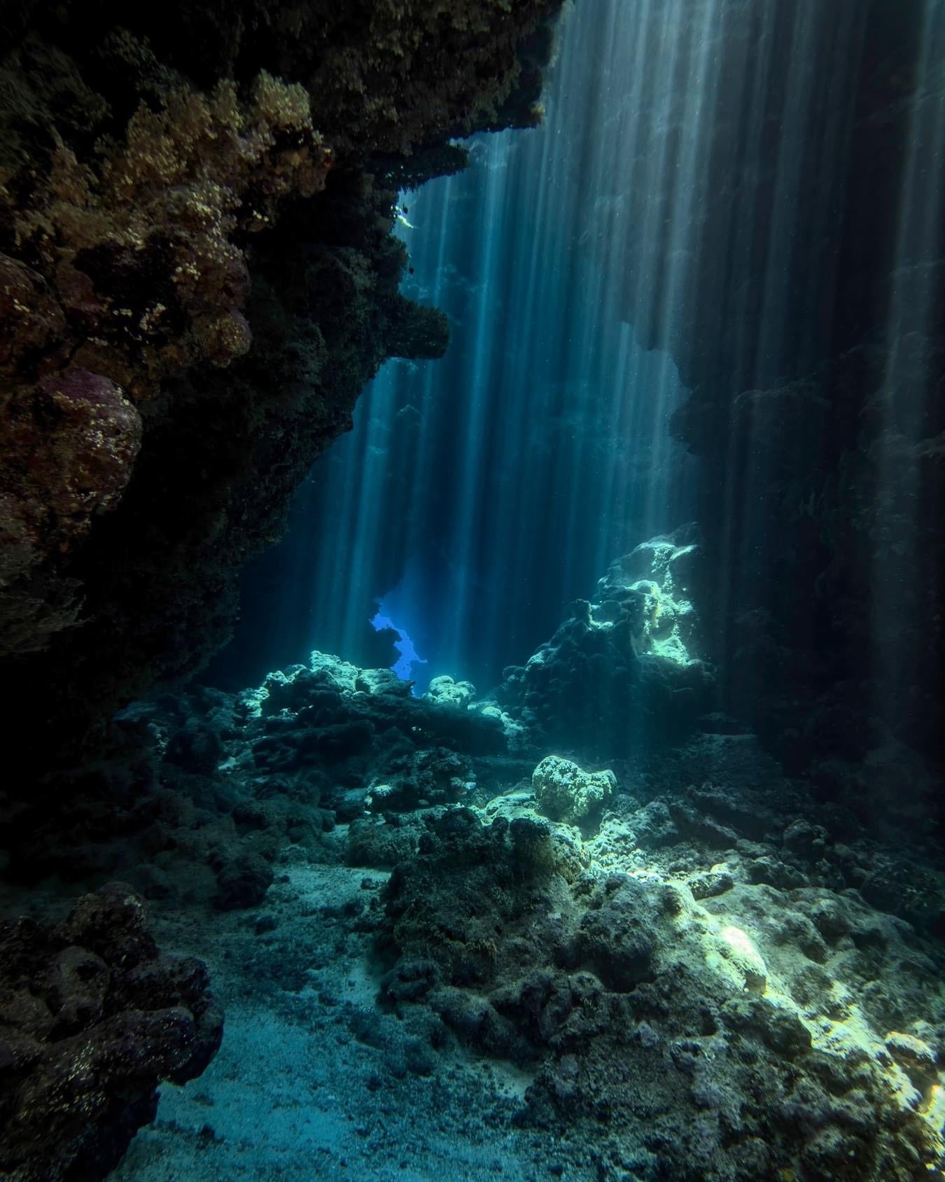 A diver exploring an underwater cave with dramatic lighting and clear details, captured with the SeaTouch 4 Max Plus Housing, showcasing the mysterious and adventurous atmosphere of cave diving.