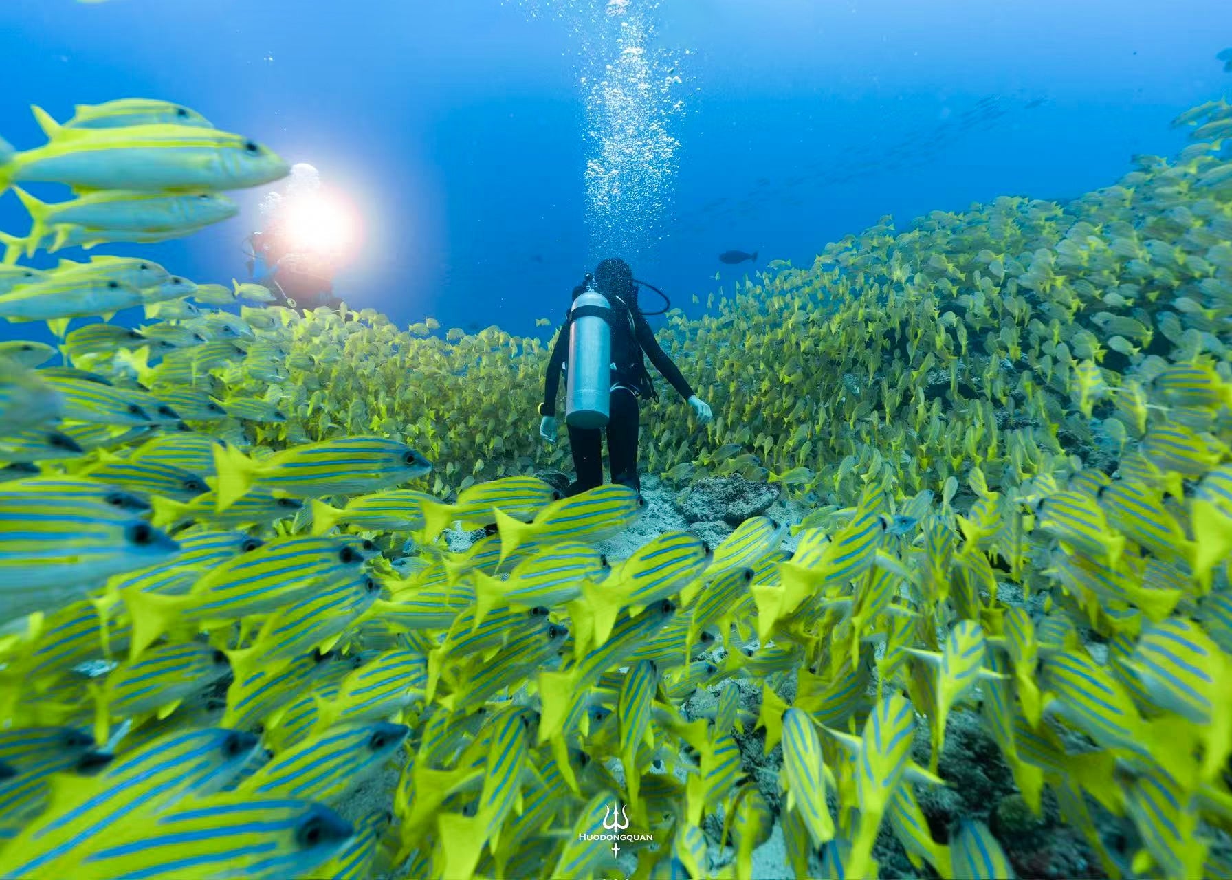 Explore underwater scenes with the Seatouch 4 Max phone case with Diver