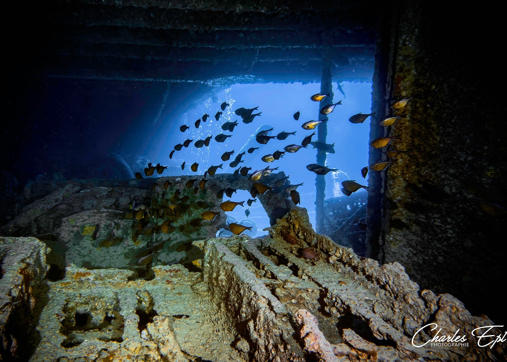 An underwater wreck with schools of fish swimming around it, captured with the SeaTouch 4 Max Housing, highlighting the eerie and historical presence of this submerged ruin.