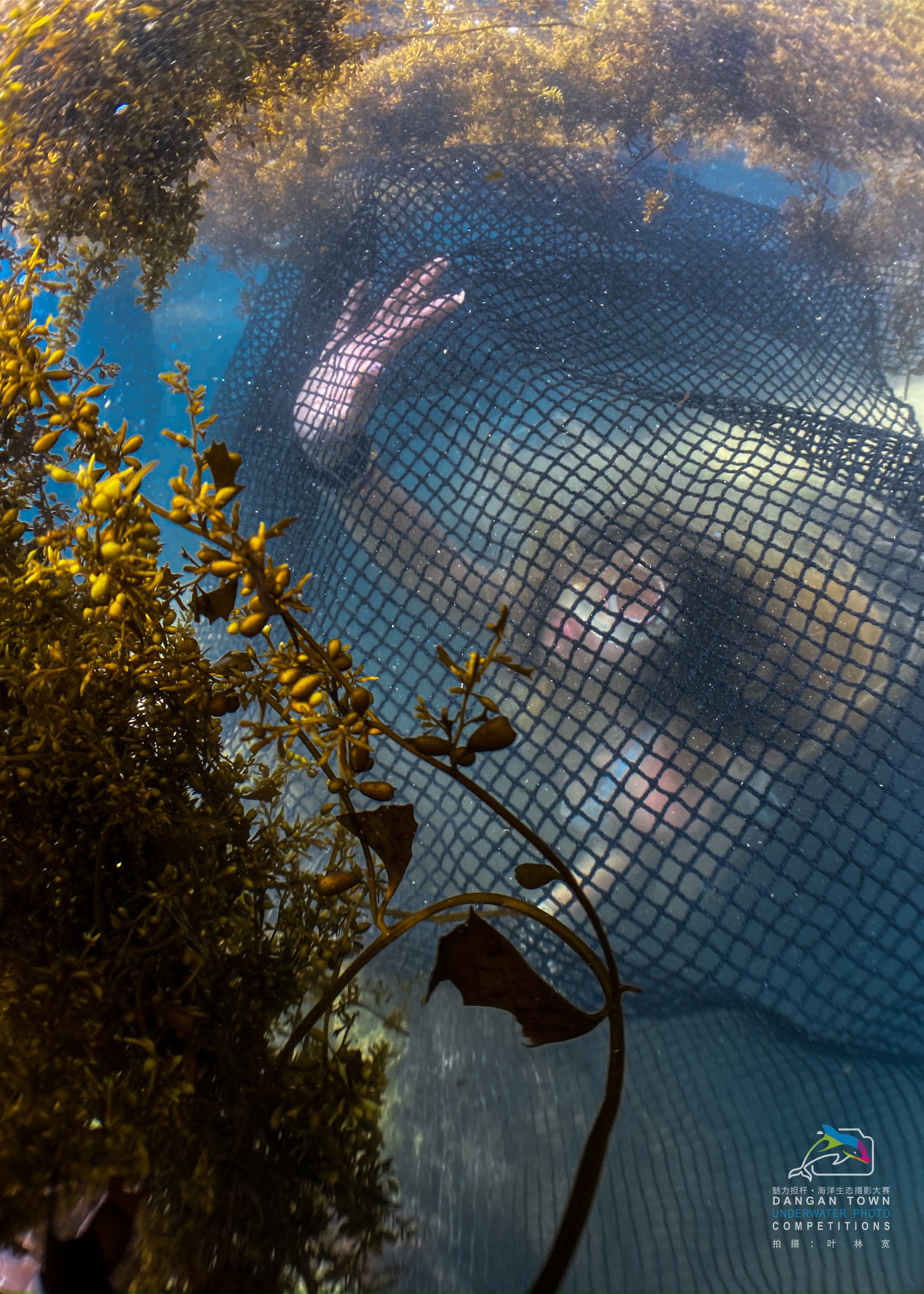 A artistic underwater portrait of a model through a mesh, captured with the SeaTouch 4 Max Plus Housing, highlighting the creative and mysterious elements of underwater fashion photography.