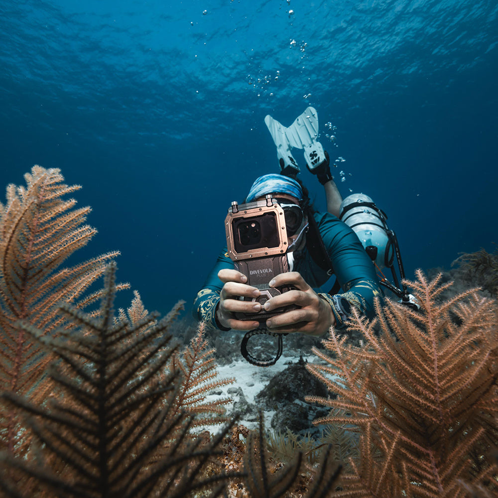 DiveVolk SeaTouch 4 Max Plus underwater phone case.