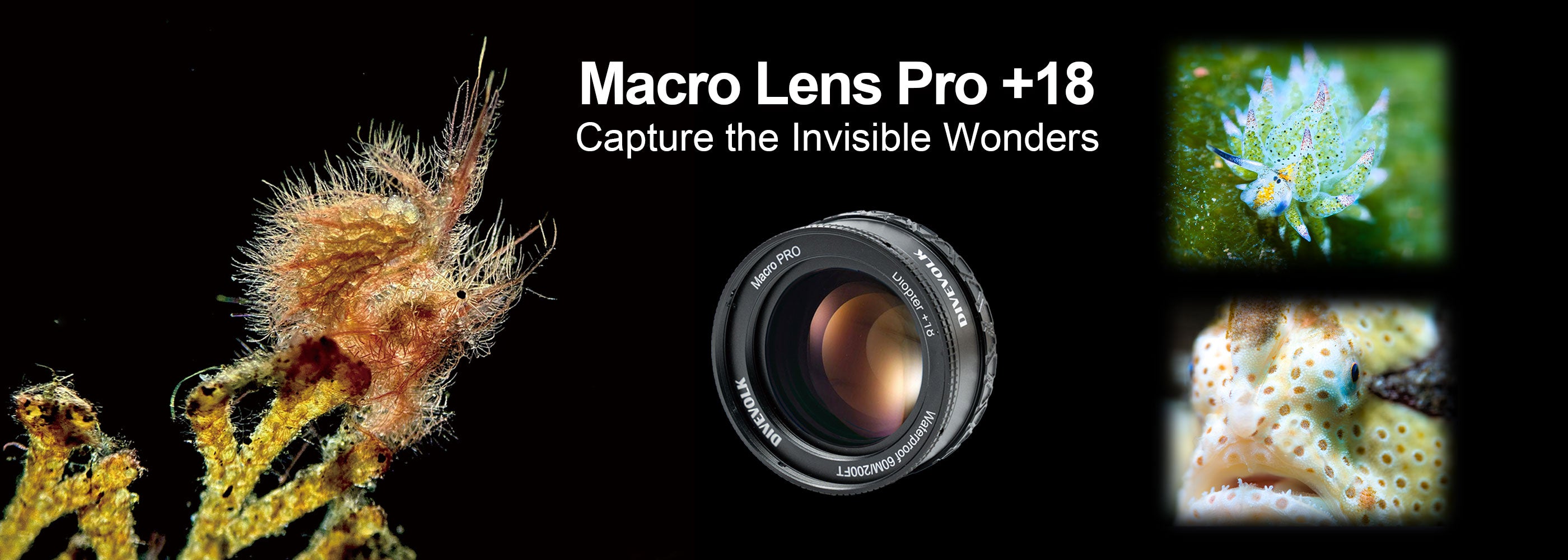 DIVEVOLK Macro Lens Pro +18 with close-up underwater creature photography for smartphone and camera, black water