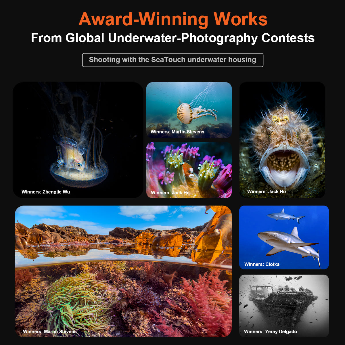 Award-Winning Works from Global Underwater Photography Contests shot with DIVEVOLK SeaTouch underwater housing — featuring winning photos by Zhengjie Wu, Martin Stevens, Jack Ho, Clotxa, and Yeray Delgado, showcasing jellyfish, coral reef, frogfish, sharks, split-shot seascape, and shipwreck.