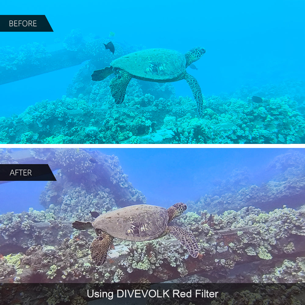DiveVolk red filter corrects color underwater turtle reef.