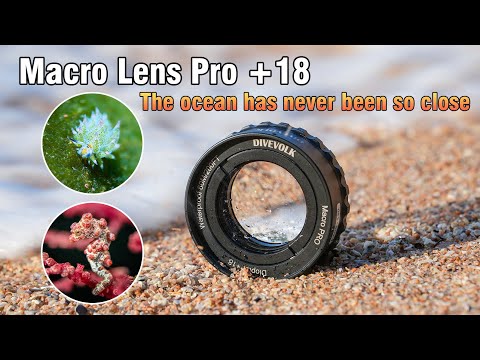 divevolk professional macro wet lens +18 for close up shot, applicable to smartphone dive housing and underwater camera