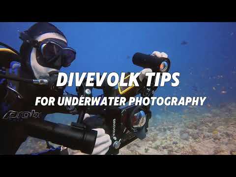 Divevolk ball joint clamp mount, double clip for underwater photography