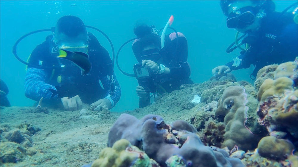 How Xiaomi Filmed Their Ocean Day 2022 Coral Restoration Entirely Underwater Using a Xiaomi 12 Pro and DIVEVOLK SeaTouch 4 Max