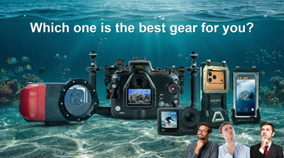 The Underwater Photography Arena: Which Setup Is Actually Right for You?