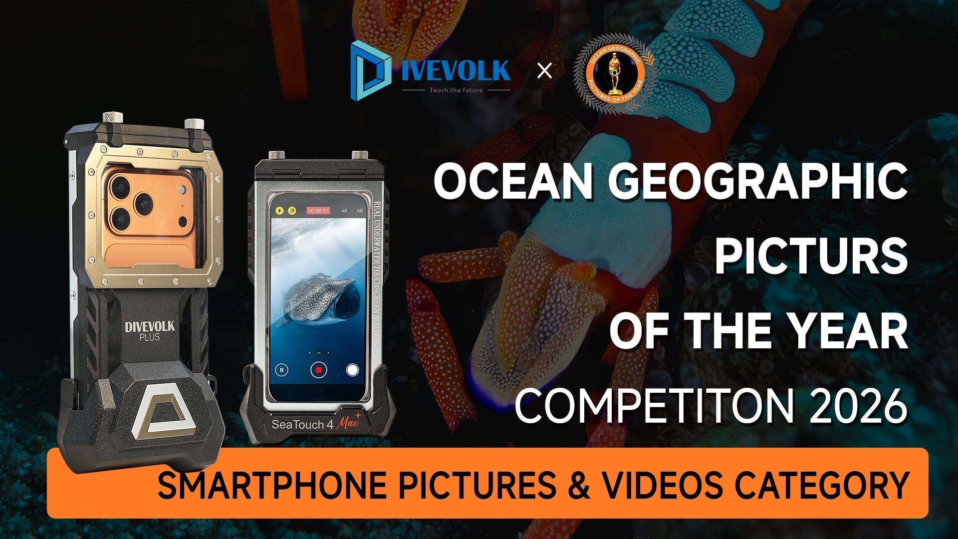How to Enter PICOTY 2026: The Ultimate Guide for Smartphone Underwater Photographers