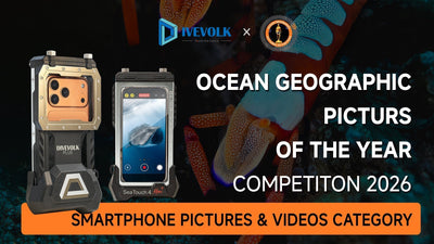 How to Enter PICOTY 2026: The Ultimate Guide for Smartphone Underwater Photographers
