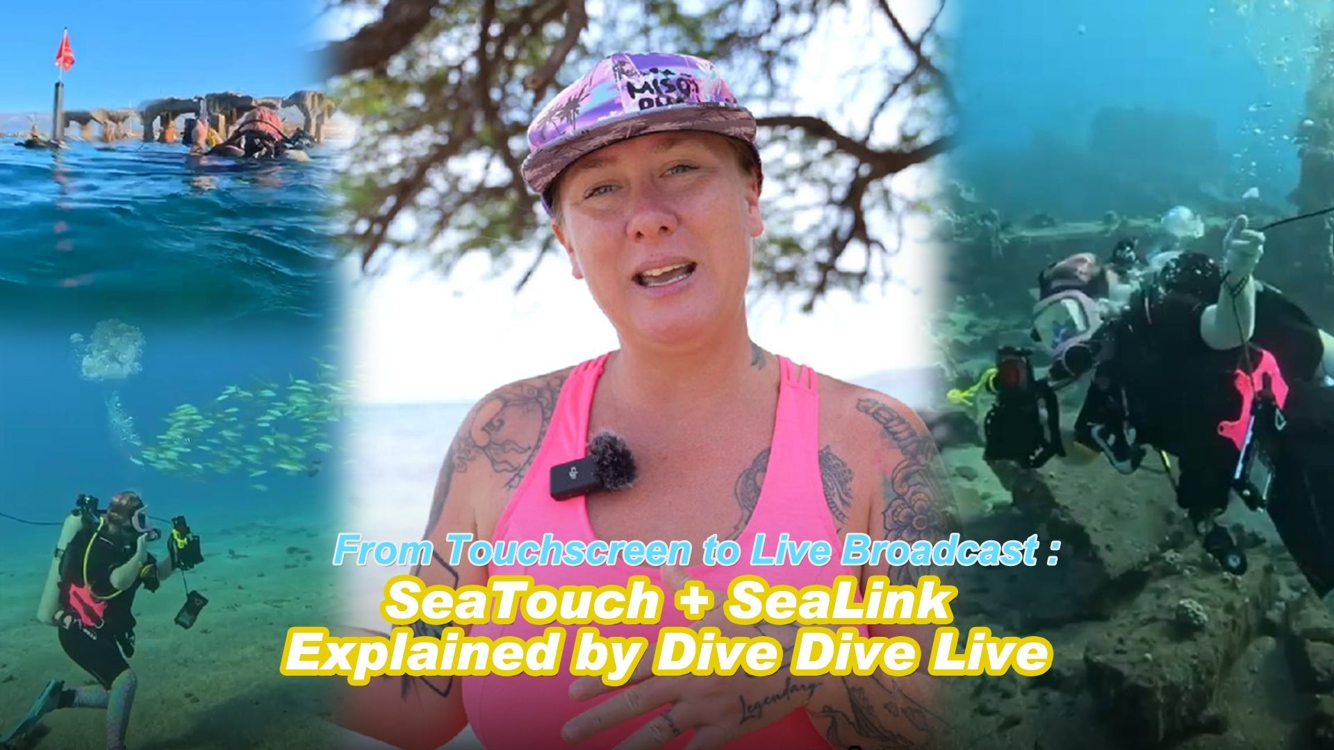 sealink underwater livestream with dive dive live 