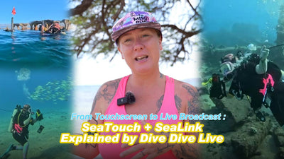 sealink underwater livestream with dive dive live 