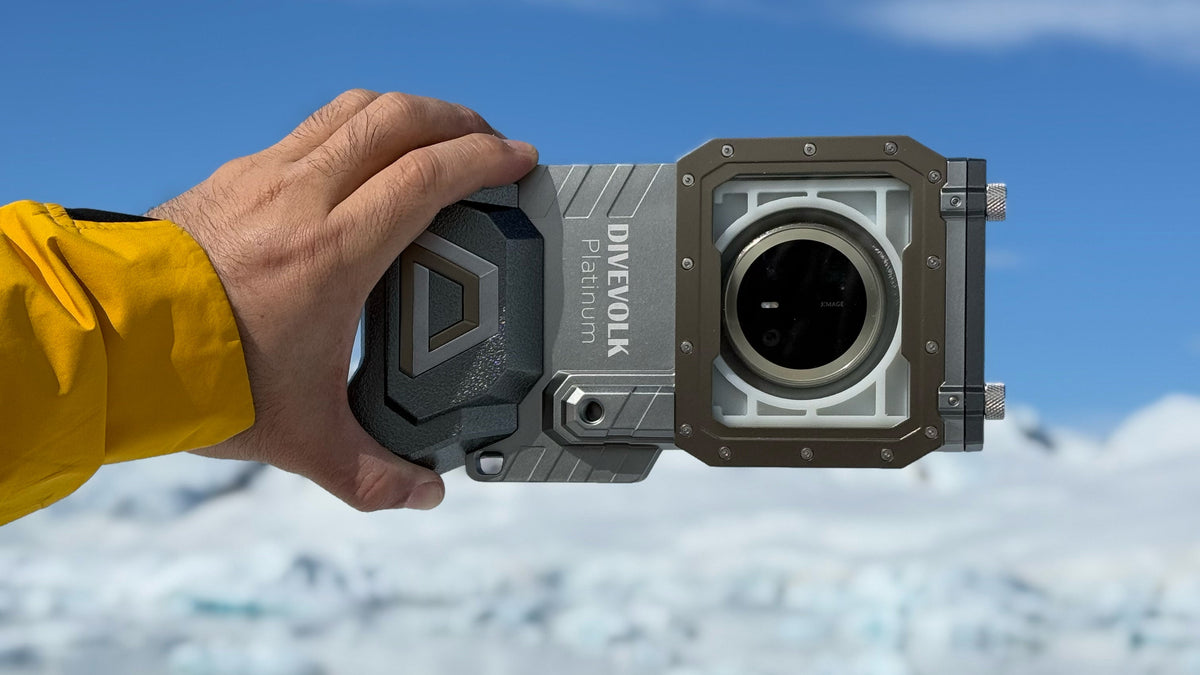 Explore the Unseen on World Tourism Day: Conquering Antarctica with DIVEVOLK