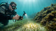 Diver holding a DIVEVOLK SeaTouch underwater smartphone housing during a dive