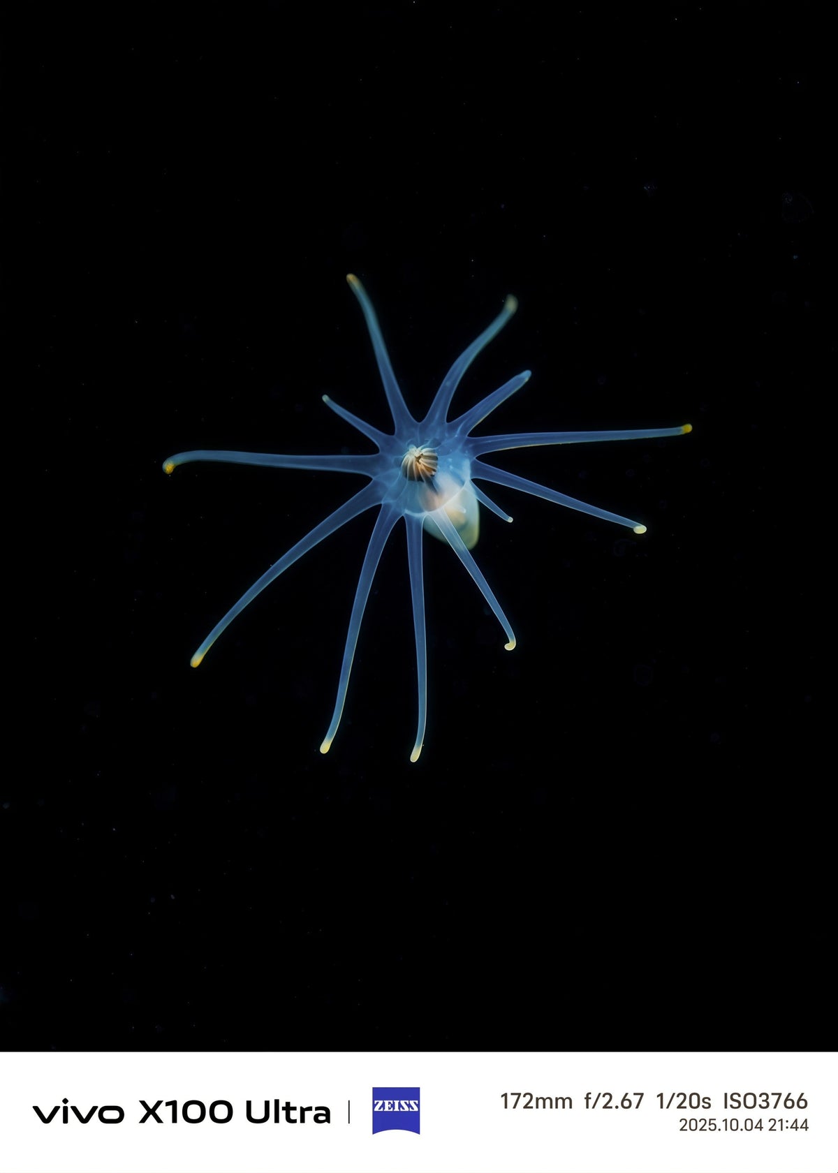 Behind the Lens: "Black Water Hunter" Award-Winning Breakdown