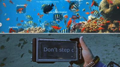 DIVEVOLK SeaTouch 4 Max vs. Button & Bluetooth Housings