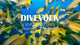 Unleash Your Flagship Underwater: DIVEVOLK Platinum Meets the VIVO X200 Ultra