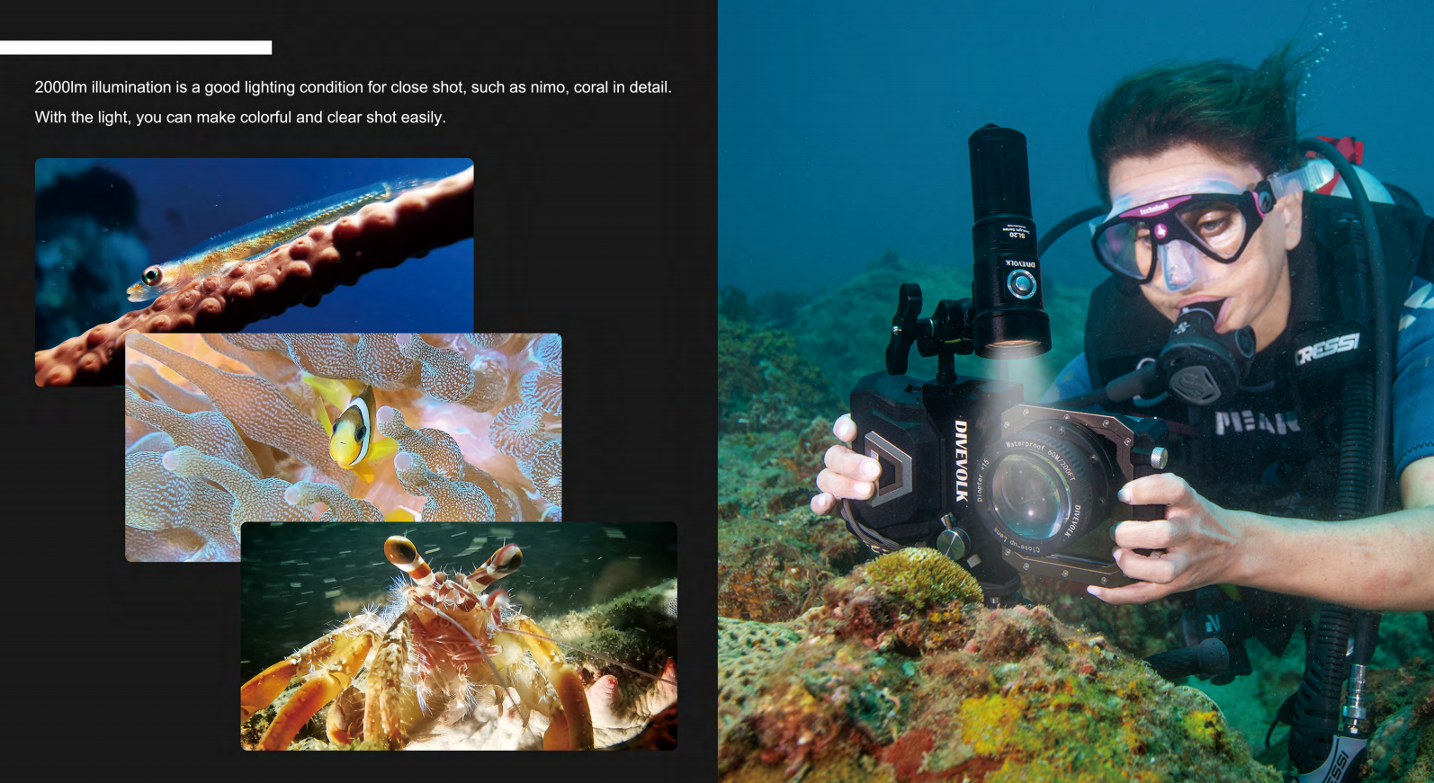 Best DIVEVOLK Underwater Video Lights: SL120, SL50 & SL20 Review