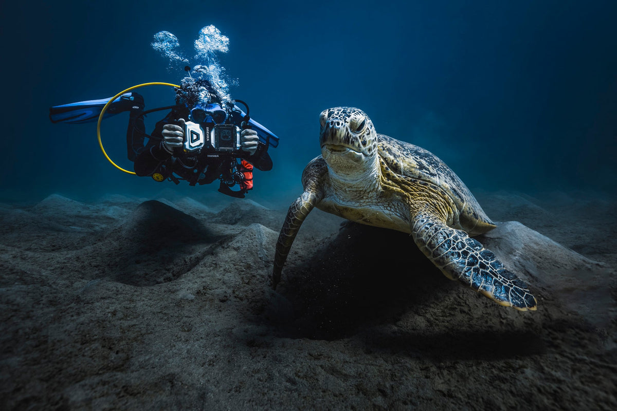 Open Water Certification Guide: What to Know Before OW