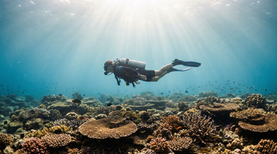 5 Core Tips for Capturing Pro-Level Dive Photos with Your Smartphone