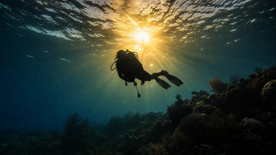 backlit diver silhouette sunburst hero