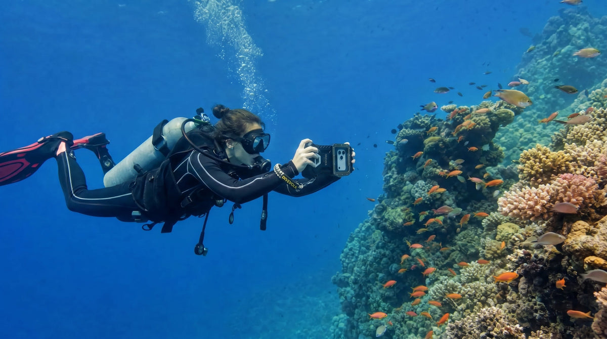 citizen science diver reef documentation
