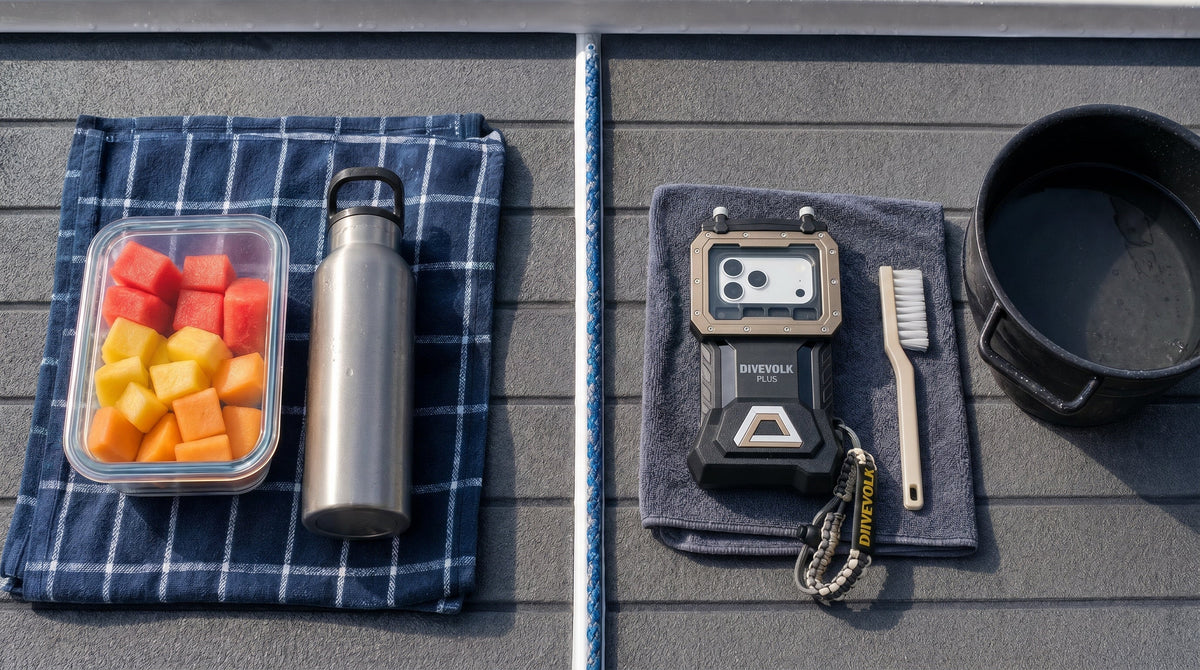 clean food and camera gear separation