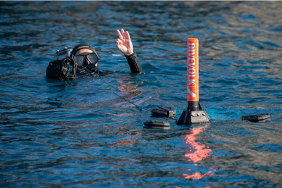 divevolk  sealink transmitter diver surface water 