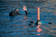 divevolk  sealink transmitter diver surface water 