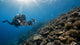 ethical underwater filmmaker shoting
