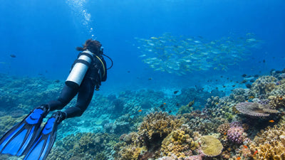 Scuba diver observing a school of fish over a coral reef from a distance
