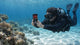 diver red filter seatouch 6 pro shallow sand bay