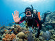 diver stop hand signal coral reef