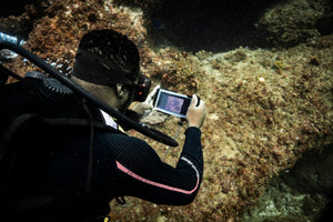 diver using divevolk housing coral reference photos