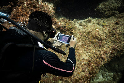 diver using divevolk housing coral reference photos