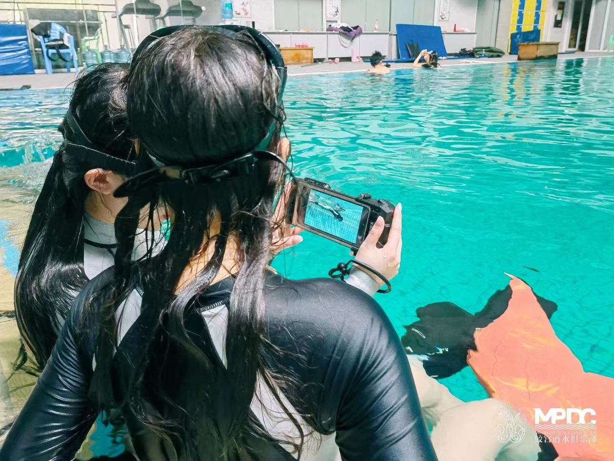 The Dive Instructor's Secret Weapon: 3 Ways DIVEVOLK Housings Revolutionize Underwater Training