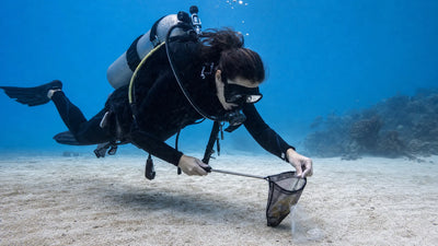 eco friendly diver habits underwater cleanup featured