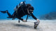 eco friendly diver habits underwater cleanup featured