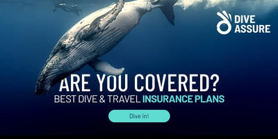 DIVEVOLK and DiveAssure: Better Images, Safer Dives
