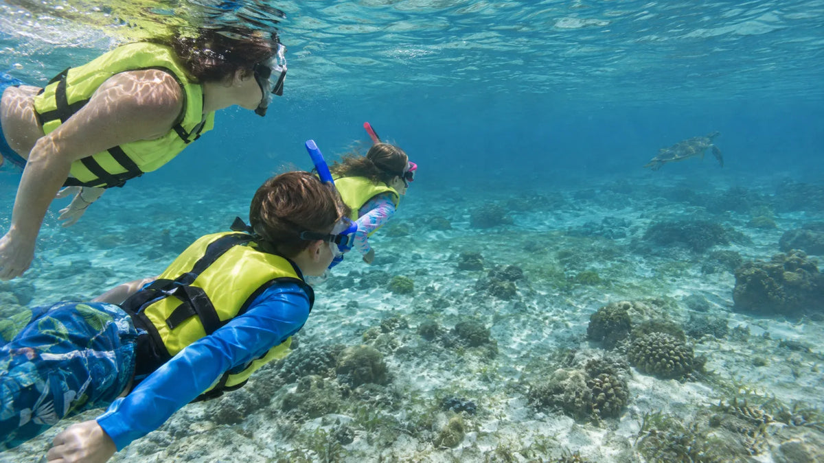 Parent and two children in life vests snorkeling over a shallow reef with a sea turtle at a distance