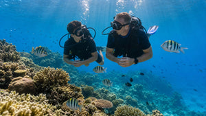 fathers day dive hero