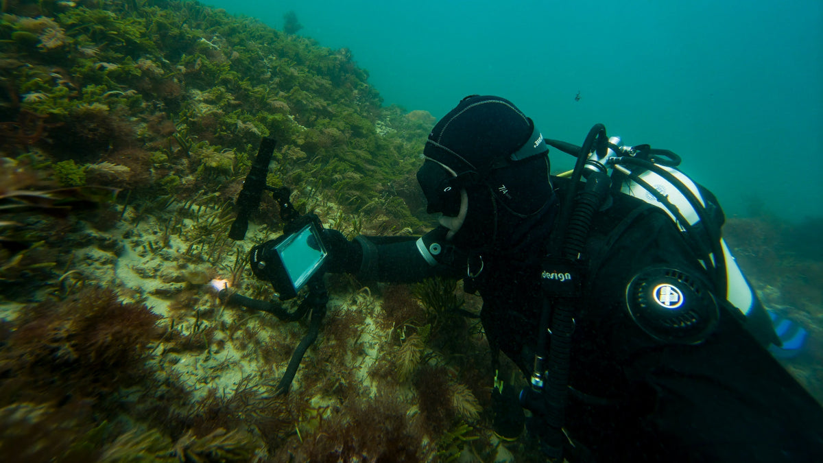 Google Pixel Underwater Macro Guide (by Pro Sean Elliott)