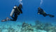 helicopter turn diver positioning